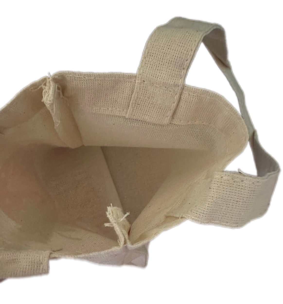 Berry First Birthday Party Favor Bags
